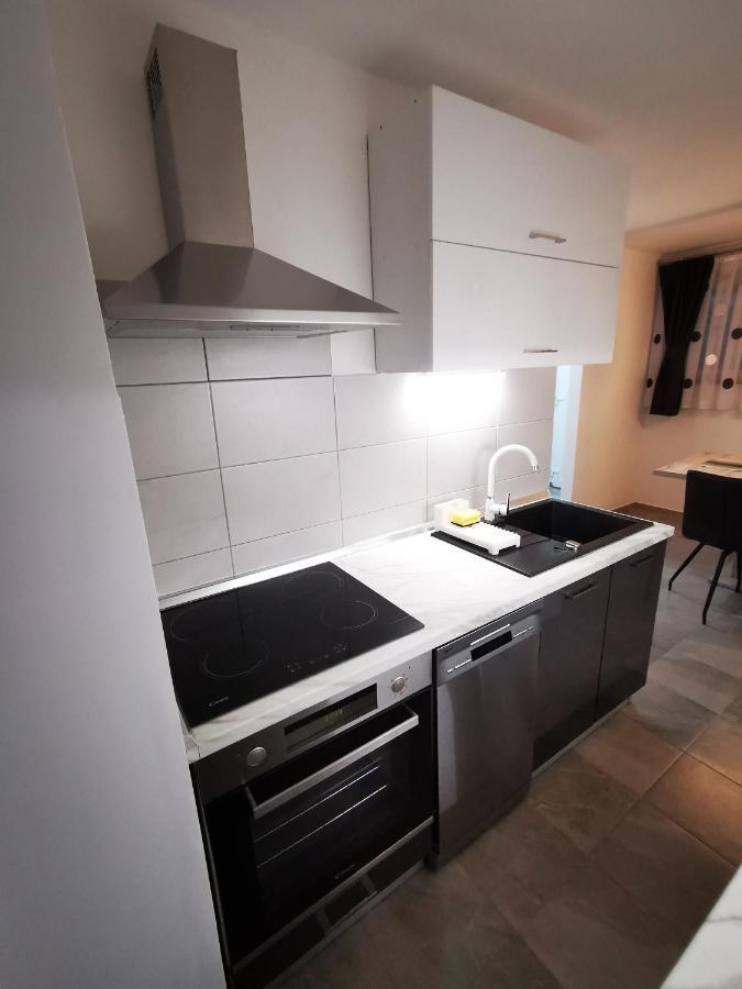 Ema Studio Apartman Karlovac Eksteriør bilde